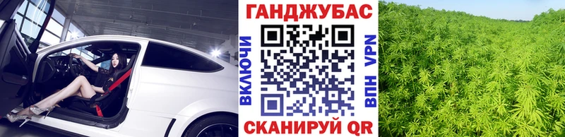 Канабис семена  цены   Щигры 